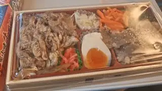 EAT BENTO IN SHINKANSEN OSAKA TO TOKYO 
