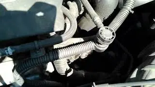 San Diego County Fleet Services, CA: (2017 Ford Escape)