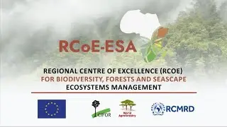 The Power of Data in Biodiversity Conservation