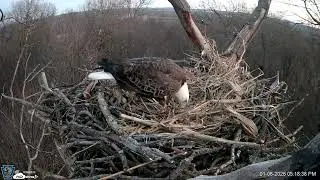 Highlights   Hanover Eagles Live Cam   HDOnTap &mdash; Mozilla Firefox 2026 01 08 17 12 47