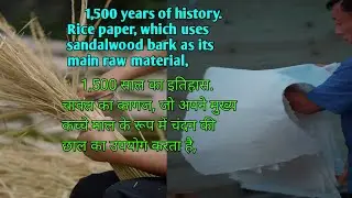 Rice paper, which uses sandalwood bark as its main raw material | चावल का कागज, जो अपने मुख्य कच्चे