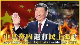 中共黨內還有民主派？寧靜革命的可能！推翻暴政不必付出鮮血Are There Secret Liberals Inside the CCP?#742  @mynotebooks
