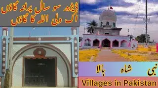 Nabi Shah Bala village Punjab Pakistan district Sargodha tahsil Bhalwal villages in Pakistan
