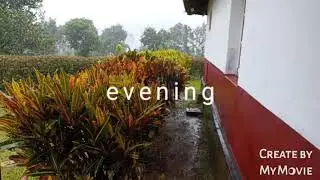 A Travel Vlog on Hulikatte Homestay, Chikmagalur, Karnataka.