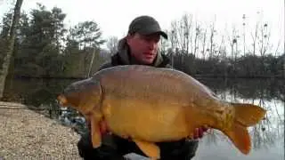 Carp fishing in France - Mirror Carp and Sturgeon in early season