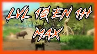 NEW WORLD - CONSEILS POUR XP LVL1 &Agrave; 10