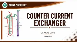 Counter current exchanger/Renal physiology/ First Year MBBS