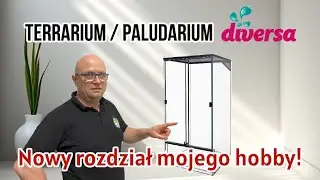 Terrarium - Paludarium Diversa | Nowy Rozdział Mojego Hobby!