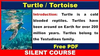 Essay on Turtle | Turtle Essay | Essay on Tortoise In English | Aquatic Animal | Sea Animals
