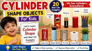 Cylinder Shape Objects | Cylinder Shape Object | Cylinder Shapes In Maths |