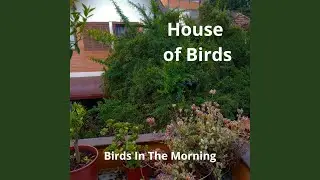 Afternoon of free birds and When a flock passes by the farm