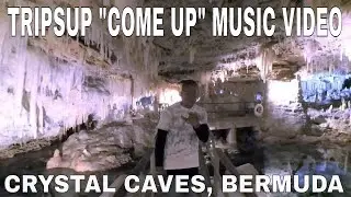 TRIPSUP 