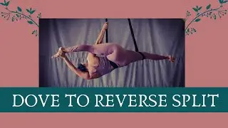 Hammock Tutorial : Aerial Yoga Tutorial: Floating Dove to Split