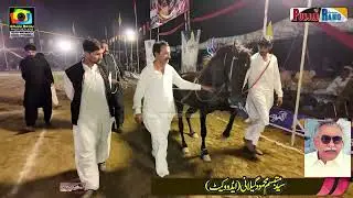 Sham e Qaandar l 23 October 2025 l 90D Zakhera Dalwaryam Muny Wala Pakpatan l Mehr Ahmad Yar Samo
