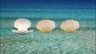 M&ouml;t Din Guide och St&auml;ll 3 Fr&aring;gor - Kort Meditation
