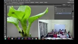 Photoshop Basic | Selection Tool | Clone Tool