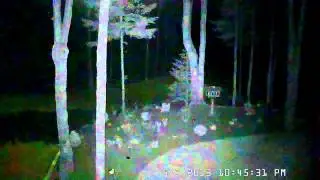 Dericam H502W Night clip