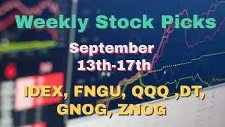 Weekly Stock Picks | September 13th-17th | IDEX | TSLA/FNGU | QQQ | DT | GNOG | ZNOG | Buy Now???