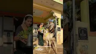 ‼️grand muniyappa festival 2026 😳🫡 | viral food videos #viral #food #nonveg