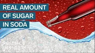 How Much Sugar Is Really In A Can Of Soda