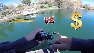 Expensive VS Cheap Jerkbait (Super Clear)