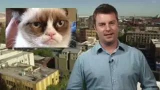 DT Daily: The password pill, Pinterest allows nudity, Grumpy Cat the Movie