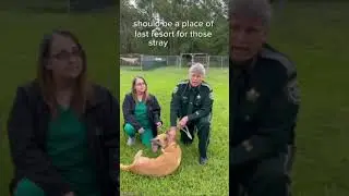 Animal Services with Sheriff Nienhuis featuring Cobra