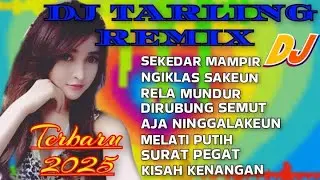 DJ TARLING REMIX TERBARU 2025 FULL BASS || ALBUM PILIHAN TERBAIK PALING ENAK DIDENGAR SETIAP SAAT
