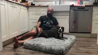 Review of MIHIKK Large Dog Bed for Large Dogs, Orthopedic Egg-Crate Foam Dog Beds