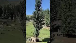 Swat Valley beautiful hidden tourist place #egzonibrahimi #egzon #nature #mountains #gilgitbaltistan