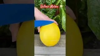 Fruit Cutting Candy Melon 🍈😱 #shots #melon #candy #fruit #satisfying #jaydenfamilyvlogs