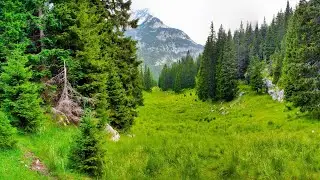 copyright-free nature video | copyright free music | copyright-free background music | copyright