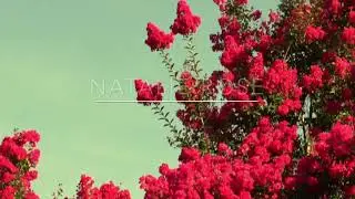 Natalie Rose Cruz: Mi Bautizo