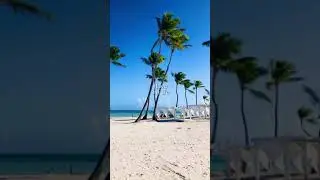 Cap Cana, Dominican Republic Destination Wedding
