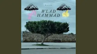 Wlad Hammad
