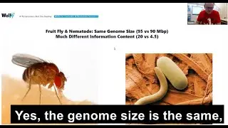 Genome researchers use computer science to discover the DNA information content