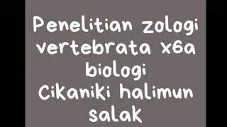 observasi alam di gunung halimun salak