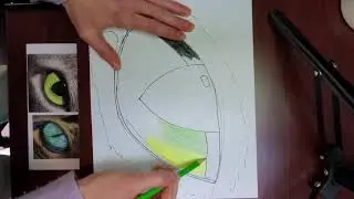 Animal Eyes Day 2