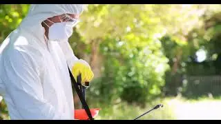 PEST CONTROL VIDEO 06