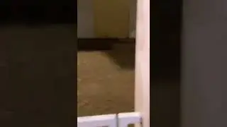 Climate change cause flooding in Guadeloupe