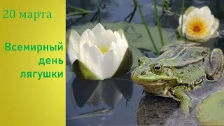 20 марта/ ВСЕМИРНЫЙ ДЕНЬ ЛЯГУШКИ🐸/праздник