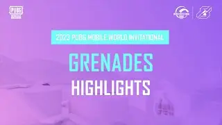 HIGHLIGHTS IN 2023 PMWI - GRENADES