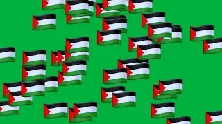 too many Palestine flags emoji moving - green screen for edit