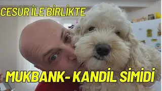 MUKBANG - KANDİL SİMİDİ - CESUR #mukbang #asmr #&ccedil;ıtırkanat #yemekyemevideoları #maltipoo