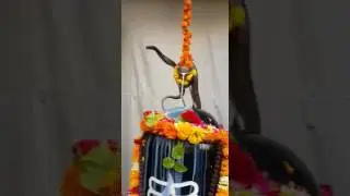 Miracle of god shiva  on maha shivratri