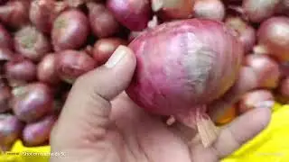 ali traders
