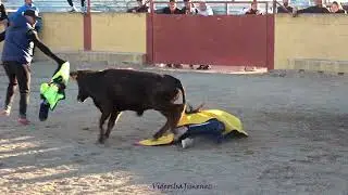 Capea Casta Aragonesa - 06/11/2021 - Parte 2 - HD
