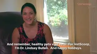 Dr. Bullen - Holiday Food Advice