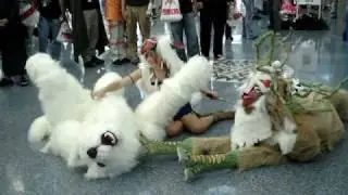 Princess Mononoke Cosplay II