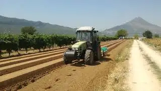 Izvlačenje gredica za sadnju jagode - gredičar s hidrovaljkom